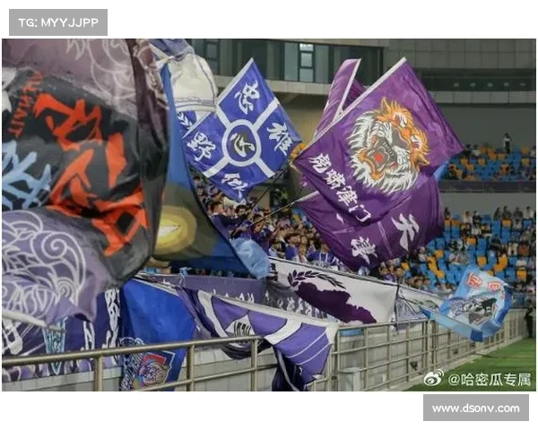 津门虎追忆离世球迷傅文君，专属座位铭刻深情(傅文虎公示)