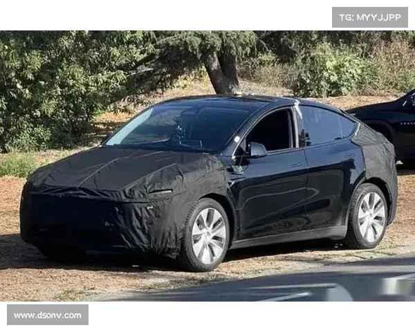 特斯拉“”变相优惠，网友：降价？其实没降！