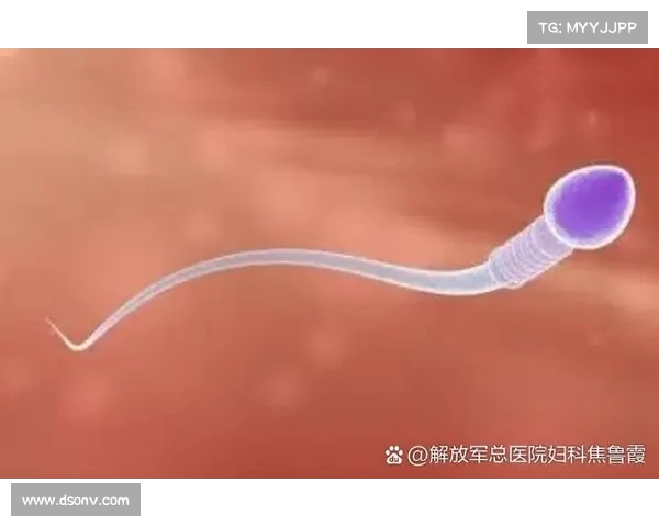 精液真的有营养吗?揭秘科学真相与误区 精液真的有营养吗?揭秘科学真相与误区