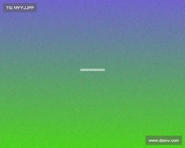 快船队全面掌控比赛节奏，压制对手